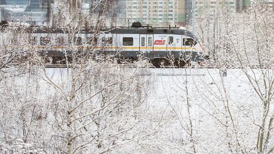 Фото: пресс-служба ЦППК