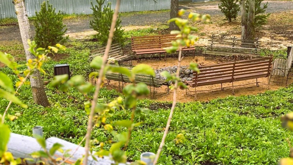 Фото: МБУК «Городской парк культуры и отдыха» г.о. Краснознаменск