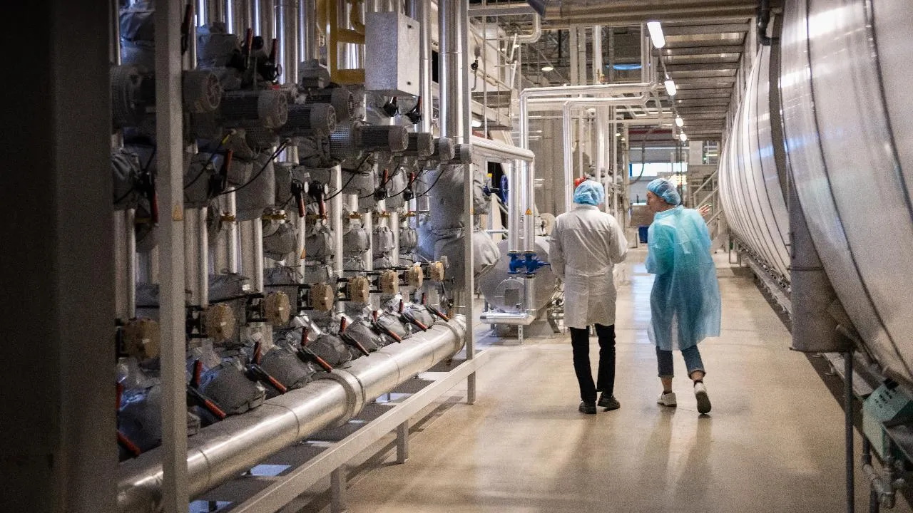 В Наро-Фоминске в 2026 году откроют новый пищевой комбинат