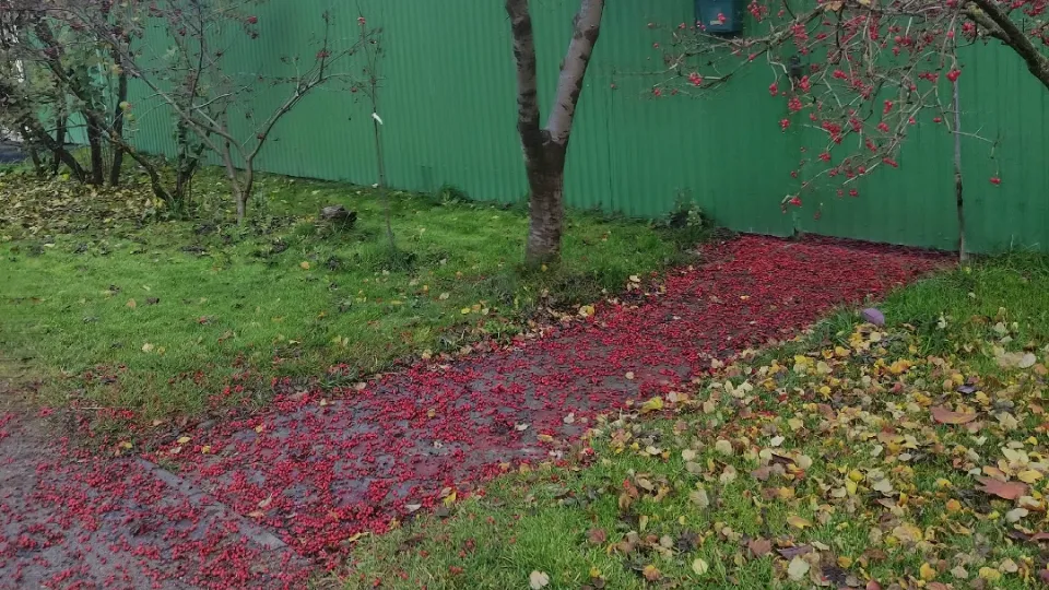 Фото из личного архива Евгении Булановой