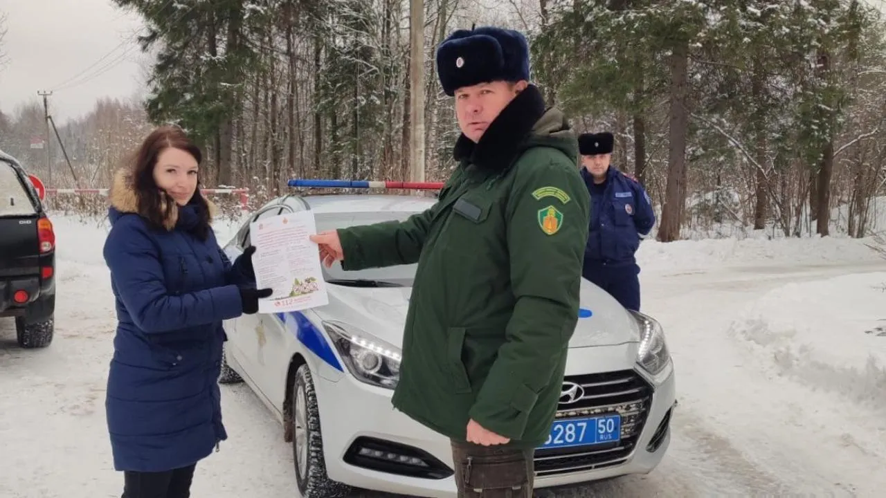 Операция «Елочка» стартовала в лесах Подмосковья