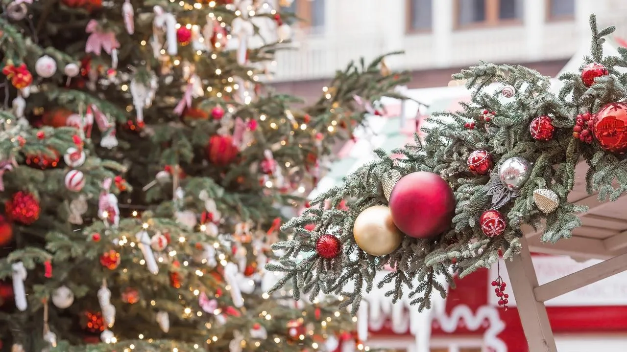 istockphoto.com/Julia Klueva