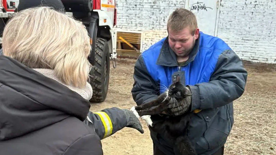 Фото: министерство по содержанию территорий и Госжилнадзору МО