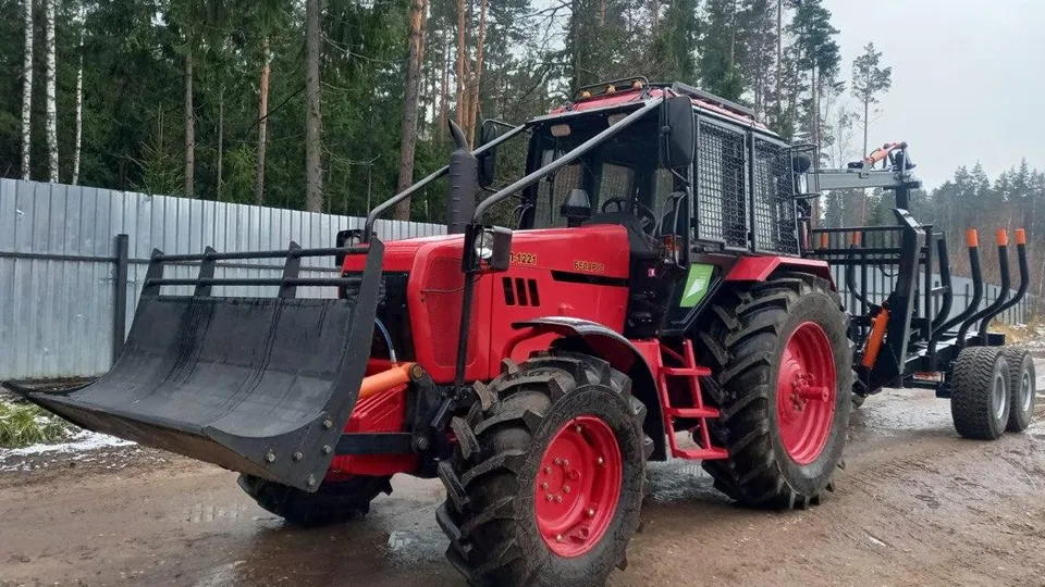 Фото: Комитет лесного хозяйства Московской области