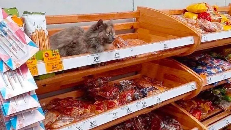 Соцсети