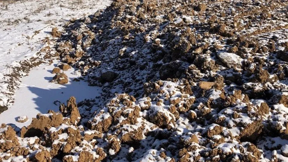 Фото: Министерство экологии и природопользования Московской области