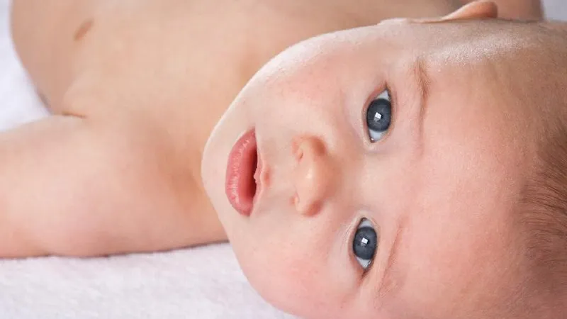 Фото: pxhere.com