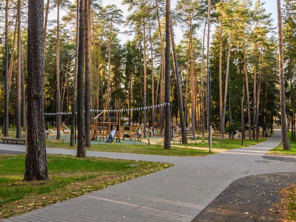 Фото: медиасток.рф