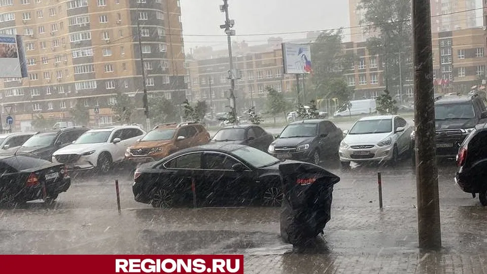 Фото: пресс-служба администрации г.о. Долгопрудный