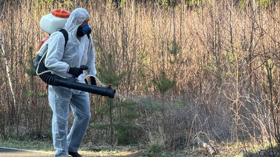 Фото: МедиаБанк Подмосковья/Марина Блакитная