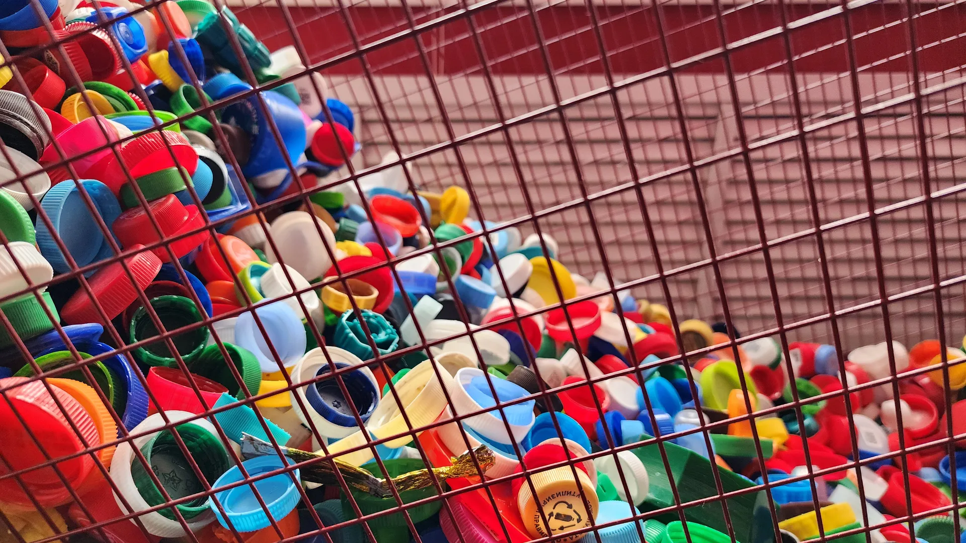 Фото: МедиаБанк Подмосковья/Ксения Пашуто