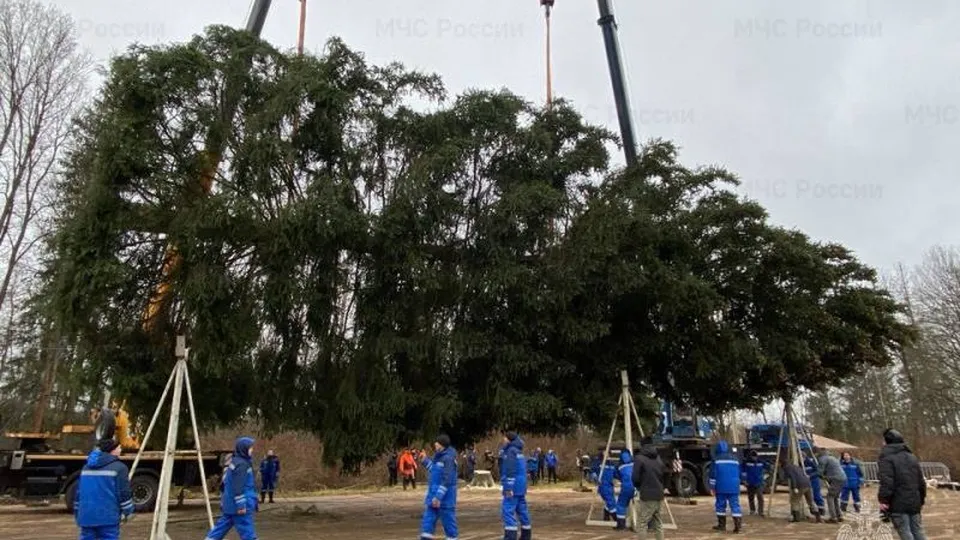Фото: ГУ МЧС по Московской области