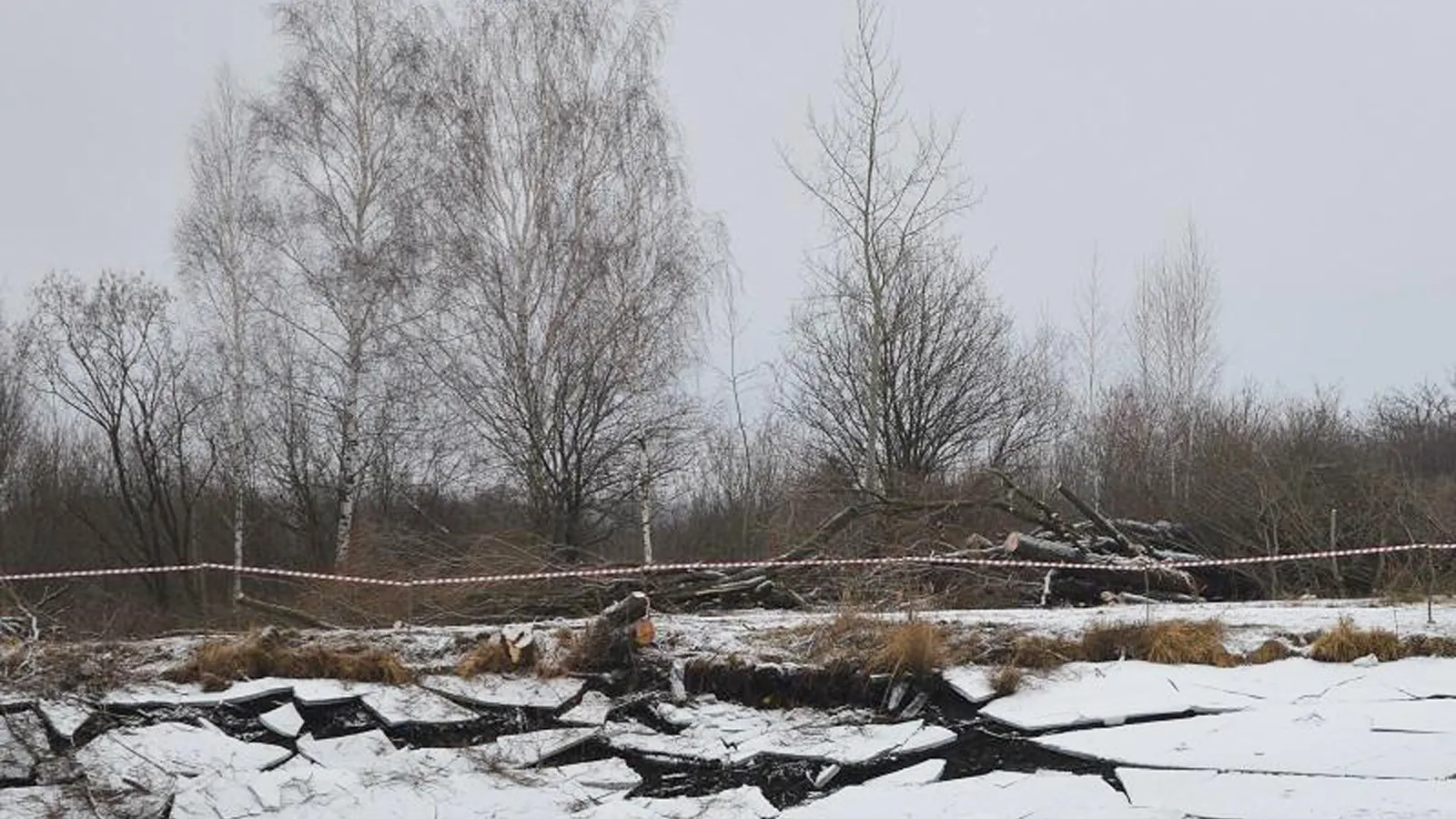 Фото: Минэкологии МО