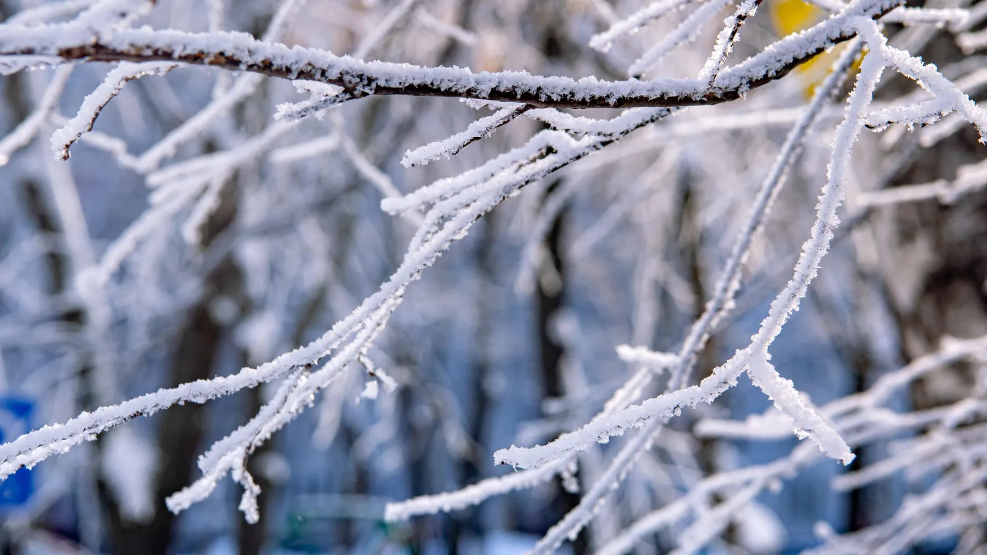 Oleg Spiridonov/Business Online