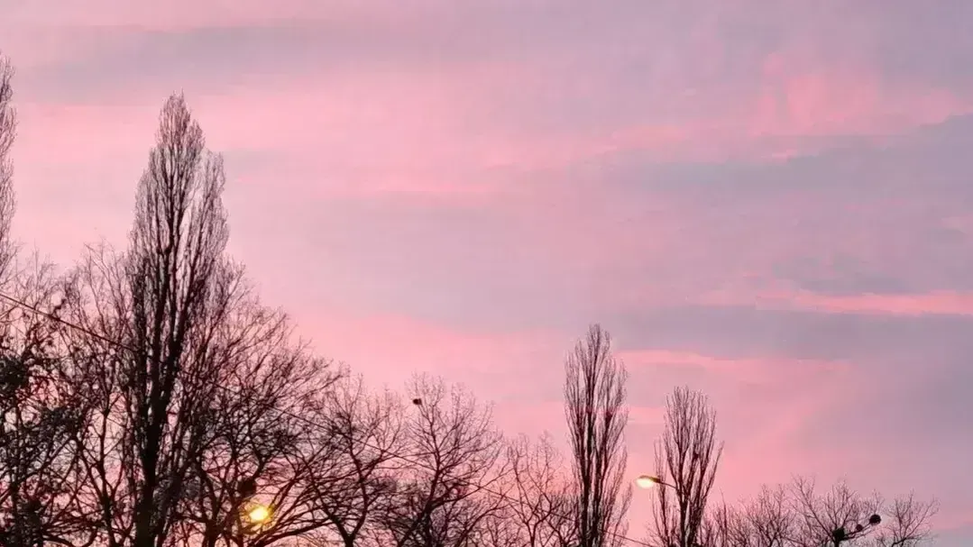 REGIONS/Николай Мулянский