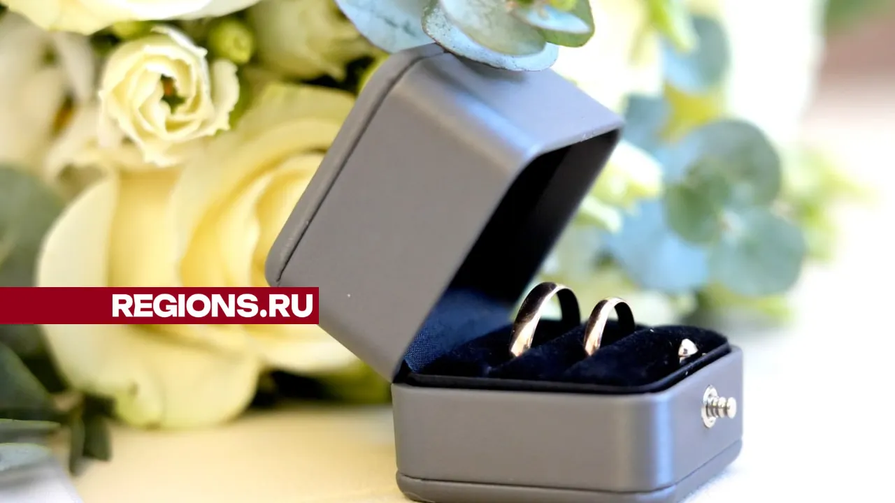 Фото: REGIONS/Дмитрий Зайчиков