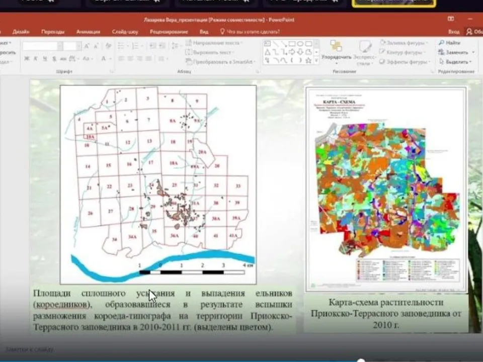 Фото: Комитет лесного хозяйства Московской области