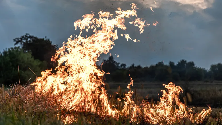 Фото: freepik.com