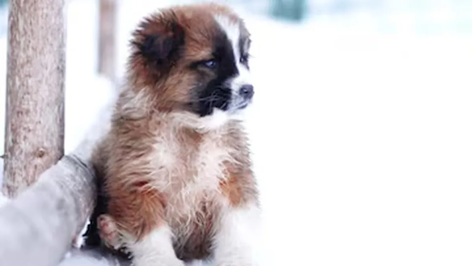 Фото: freepik.com