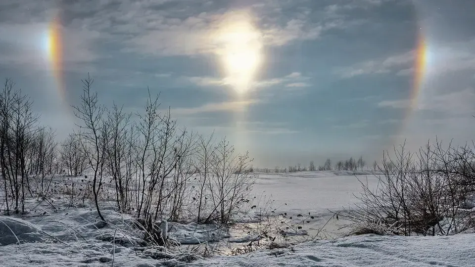 commons.wikimedia/Marina Torgashova