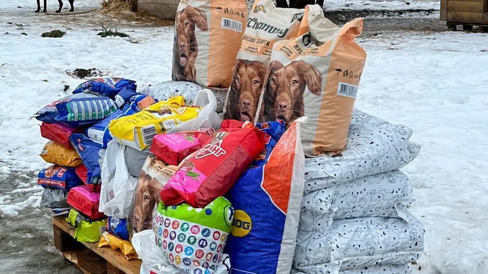 Фото: пресс-служба администрации г.о. Дмитров