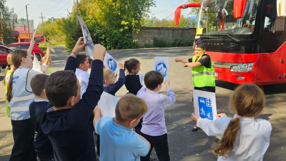 Фото: Госавтоинспекция УМВД России по г. о. Домодедово