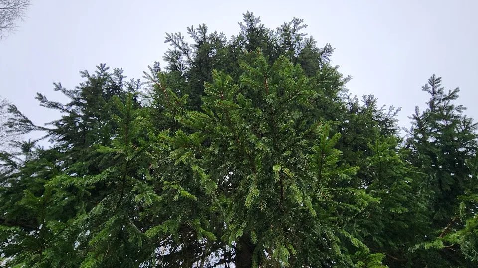 Фото: МедиаБанк Подмосковья / Екатерина Данилина