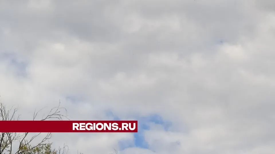 Фото: REGIONS/Юлия Куделькина