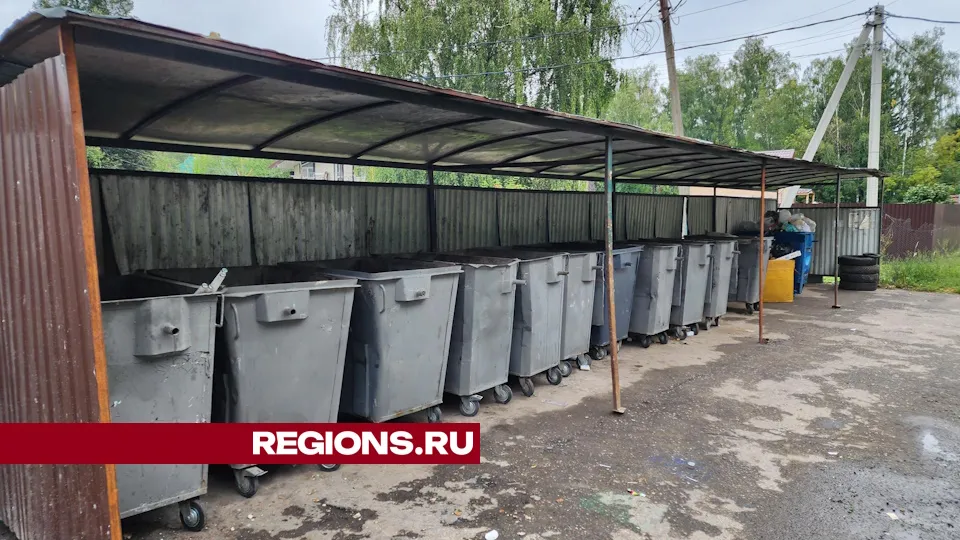 Фото: Дмитрий Алексеенко