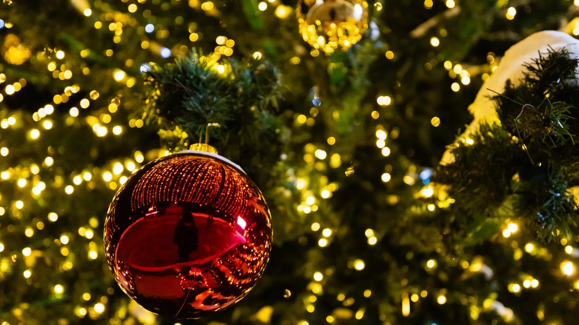 В Госдуме призвали относиться к новогодней символике с юмором, а не всерьез