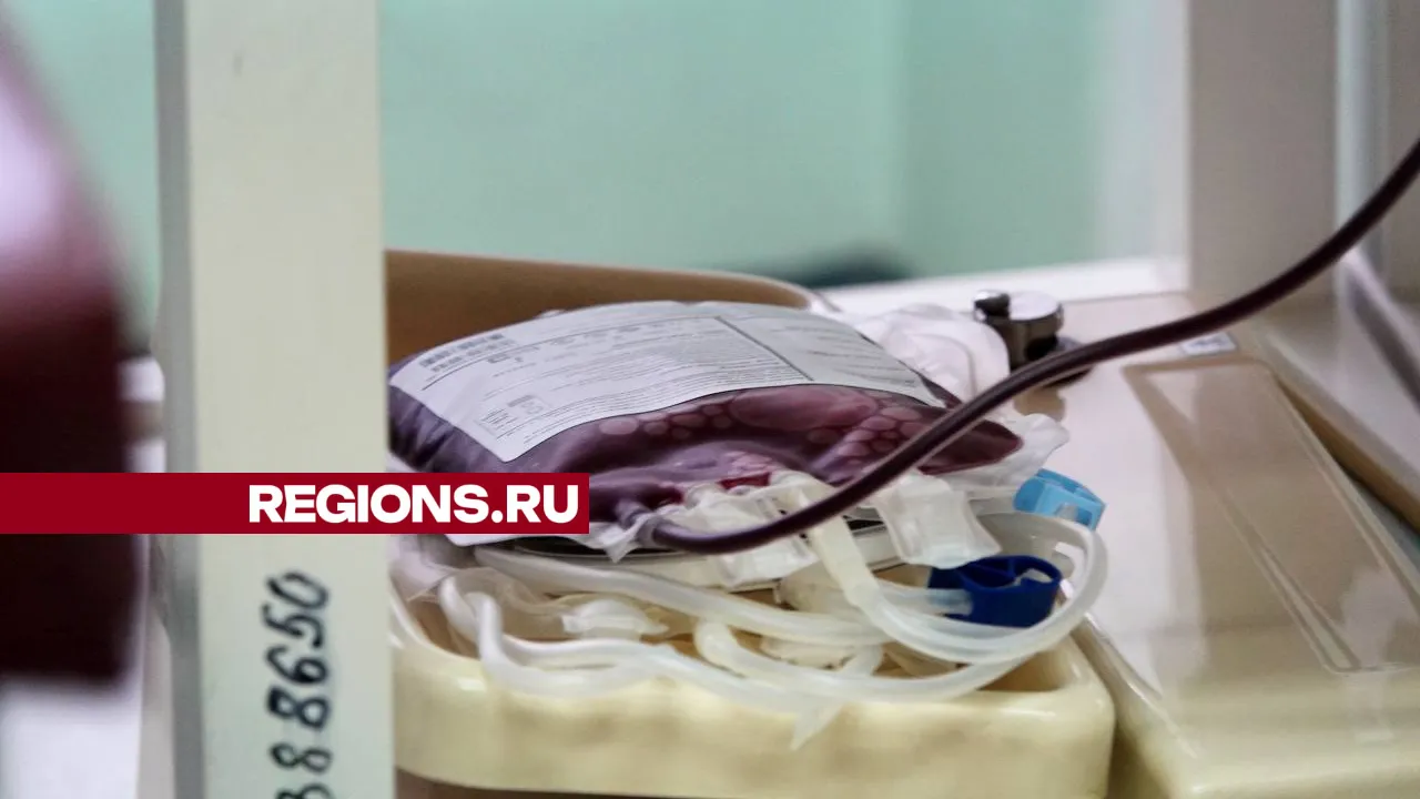 Фото: REGIONS/Дарья Леонова