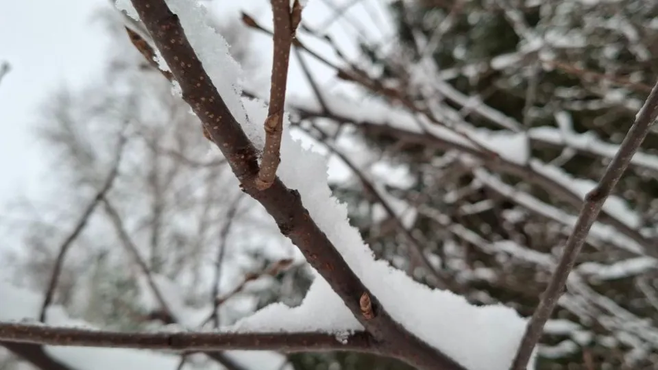 Фото: REGIONS/Юлия Габбасова