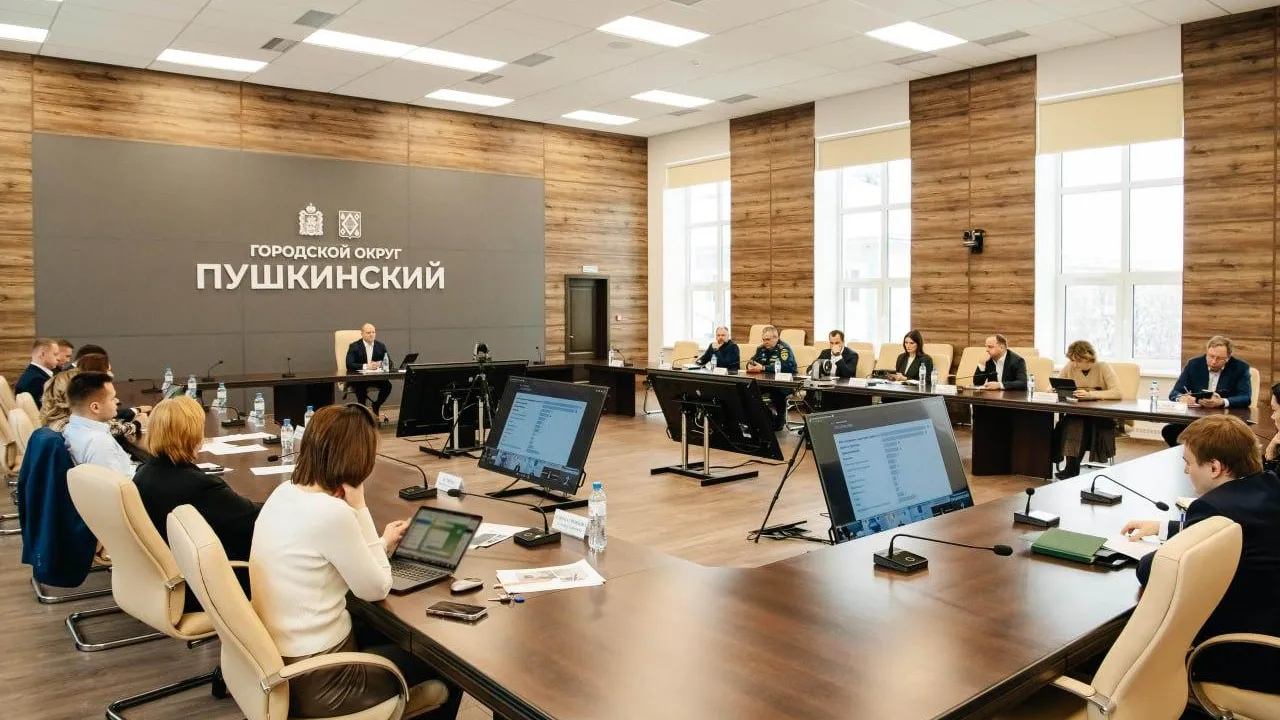 Фото: Пресс-служба Администрации г.о. Пушкинский