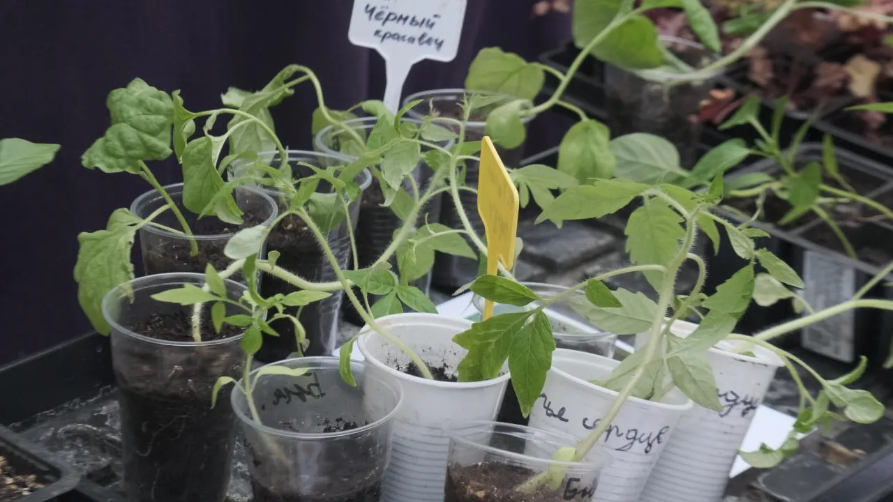 Фото: Мария Панина