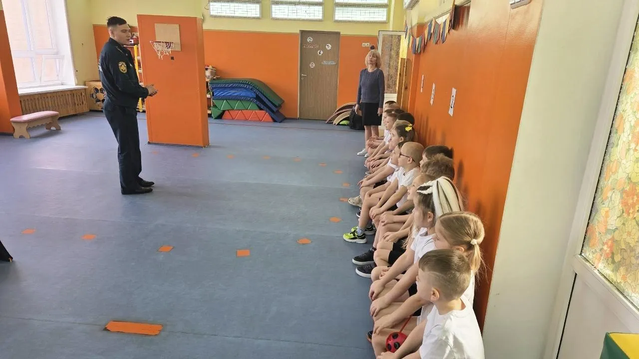 Отдел надзорной деятельности и профилактической работы по г.о. Ступино