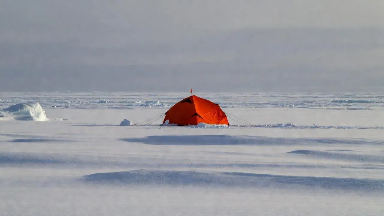 «Подмосковье сегодня»/Сгенерировано нейросетью
