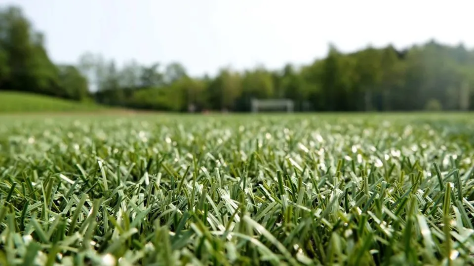 Фото: t.me/sapakhomovGD