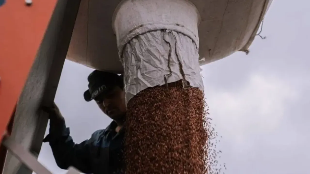 пресс-служба администрации городского округа Домодедово