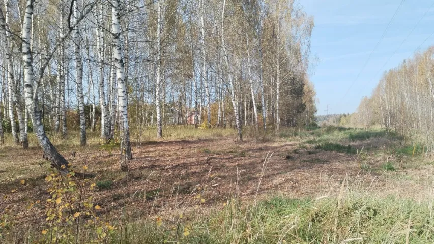 Комитет по конкурентной политике Московской области