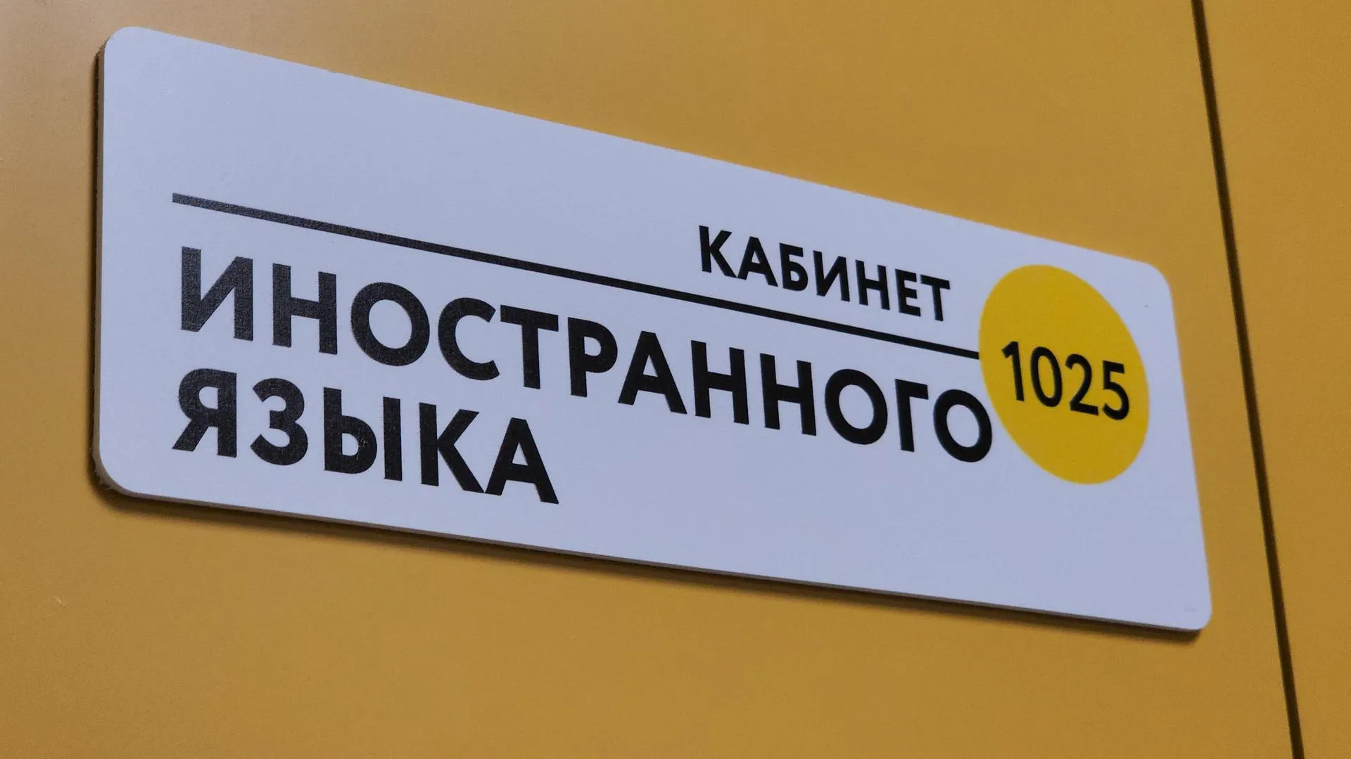 Источник: Алена Притула