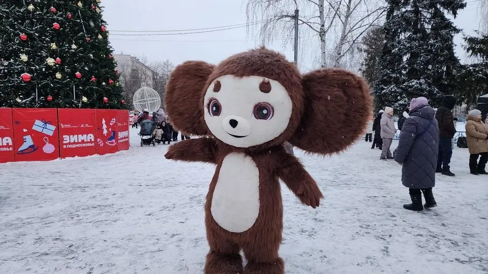 Фото: МедиаБанк Подмосковья/Анна Шолохова