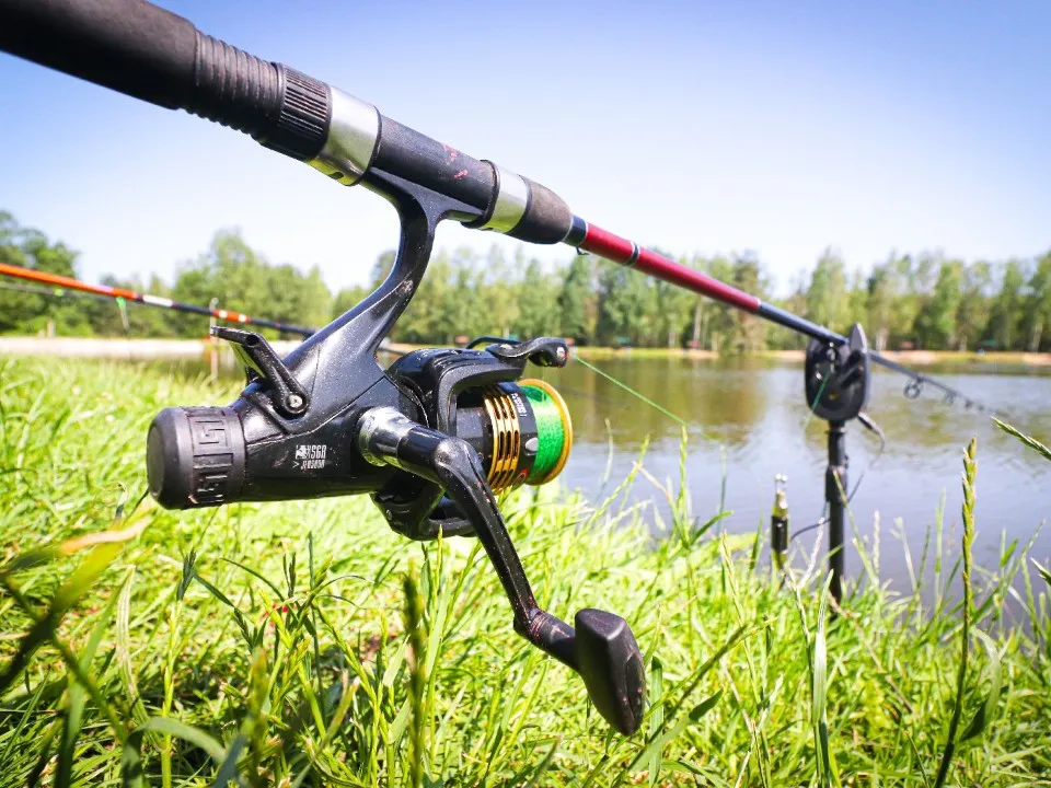 Фото: МедиаБанк Подмосковья/Данила Кирьянов