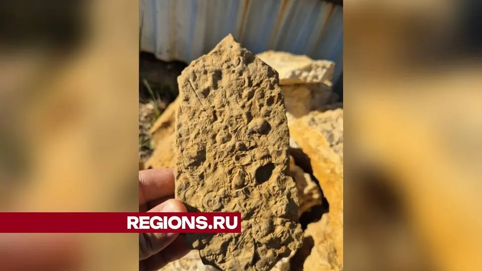 Фото: личный архив Ботиржана Абдушукурова