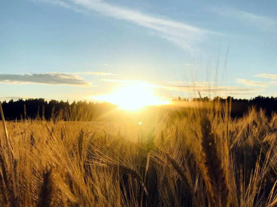 Фото: Екатерина Рябчун