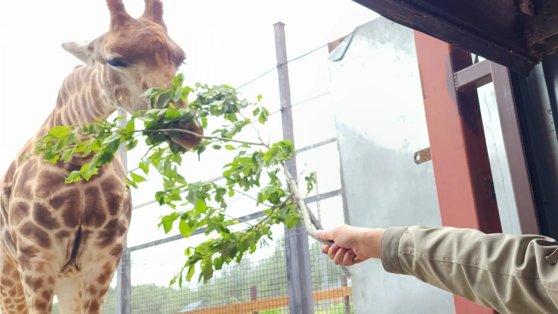 Фото: МедиаБанк Подмосковья/Дмитрий Беденко