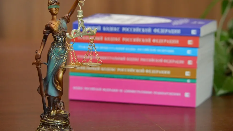 Фото: Уполномоченный по защите прав предпринимателей в МО