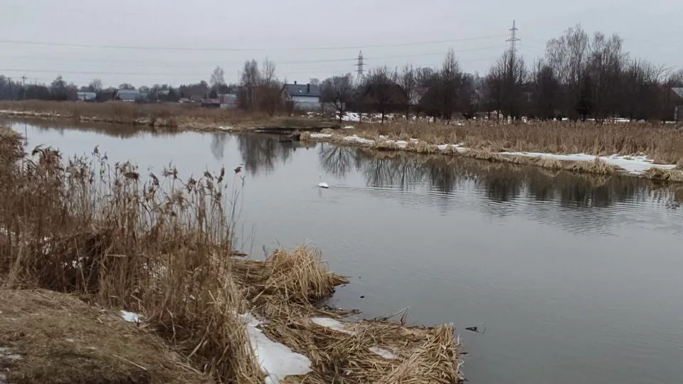 Фото: t.me/ «Типичное Щелково | Новости | ТЩ»