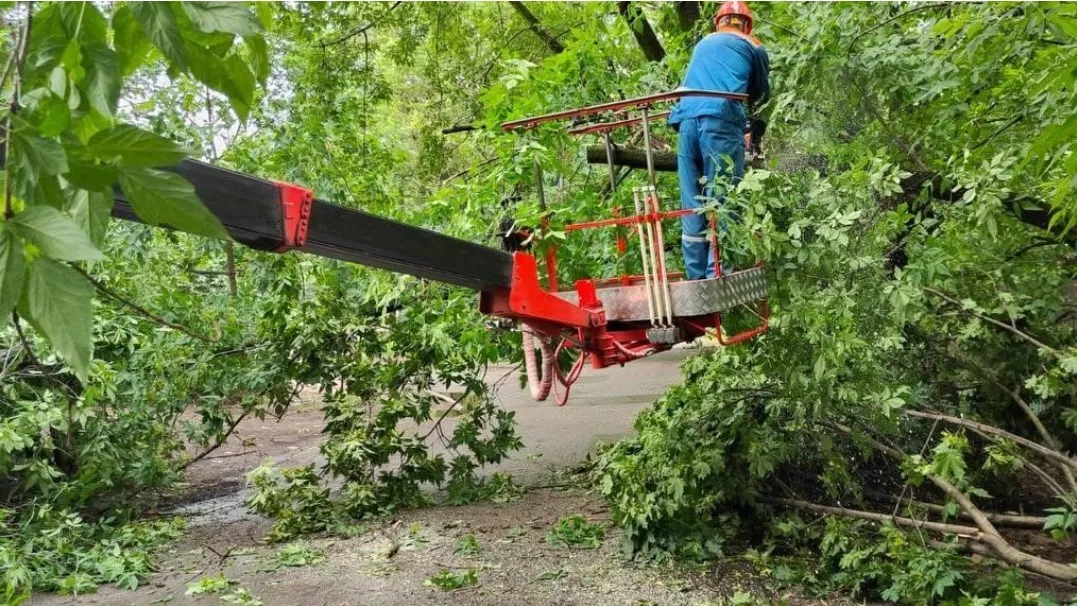 Фото: Министерство энергетики Московской области