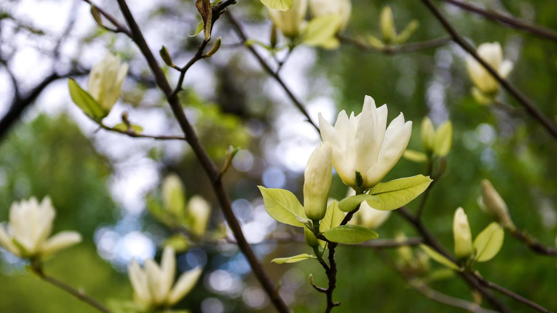 медиасток.рф