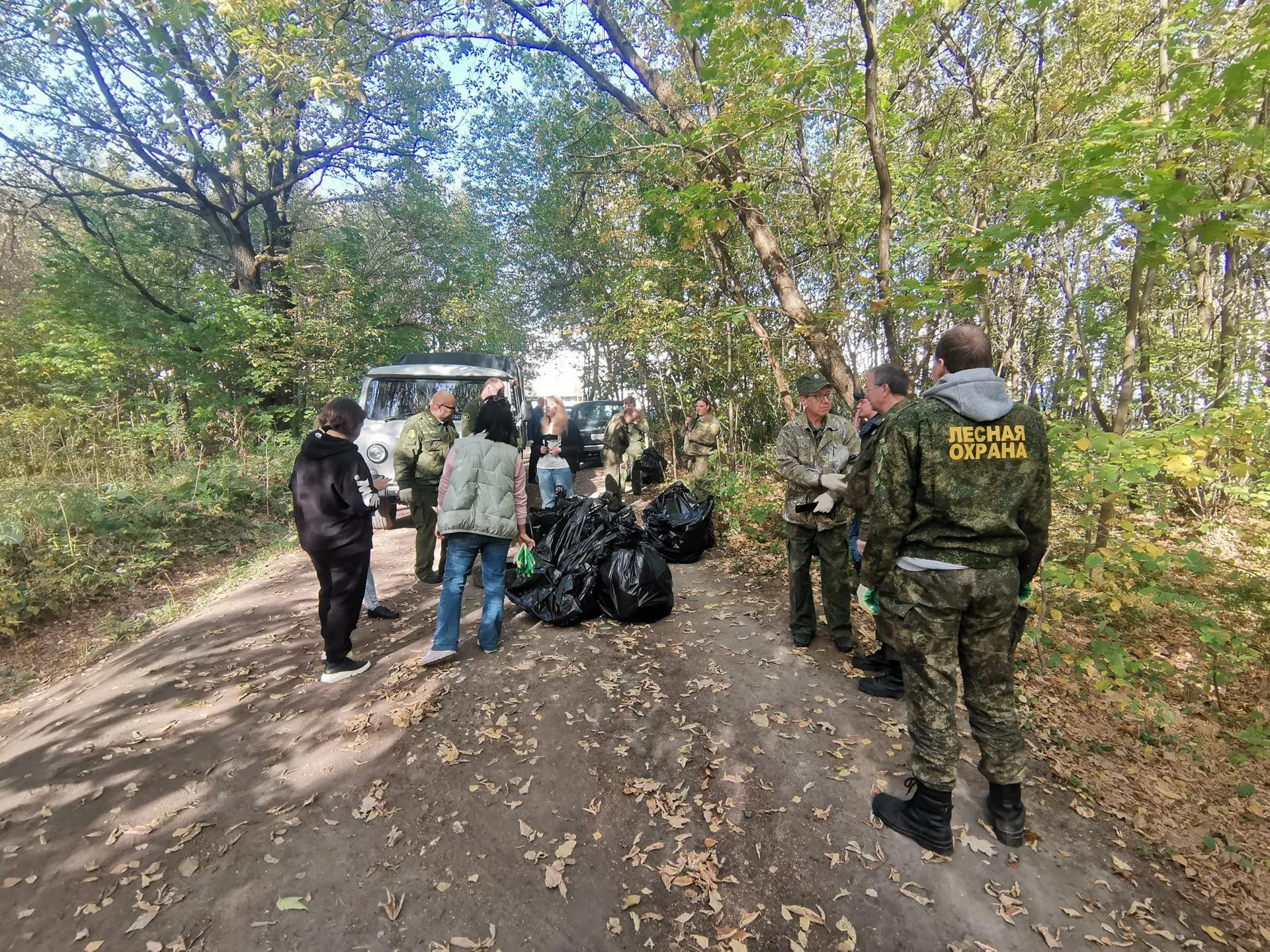Комитет лесного хозяйства Московской области